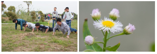 蜜桃传奇媒体mv视频7
