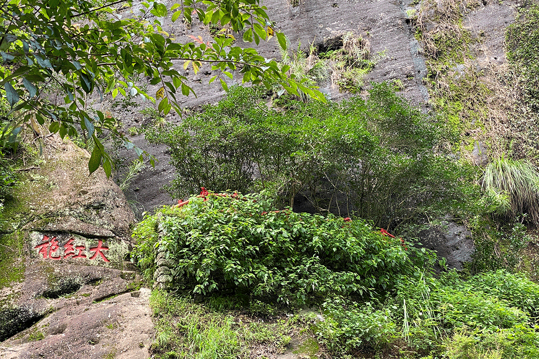 蜜桃传奇媒体mv视频7