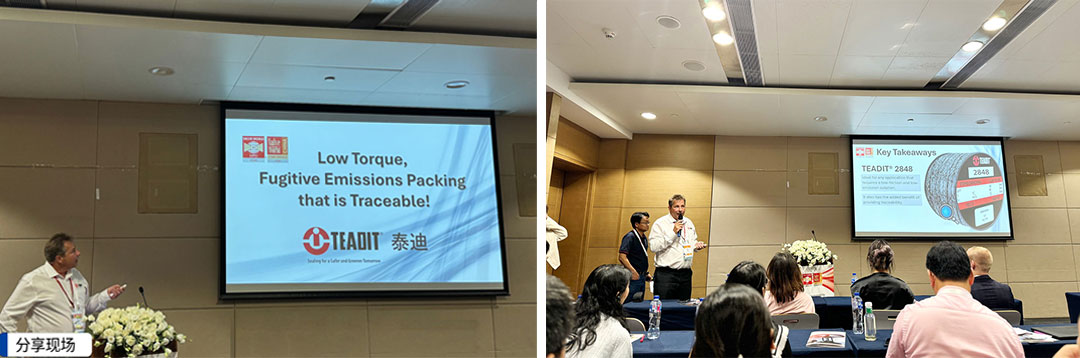 蜜桃传奇媒体mv视频7