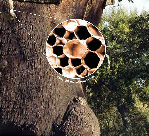 蜜桃传奇媒体mv视频7